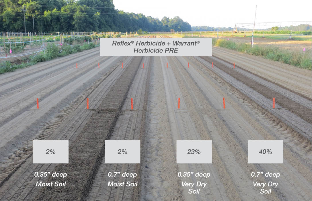 Soil Temperature for Higher Germination - Stutzmans Greenhouse