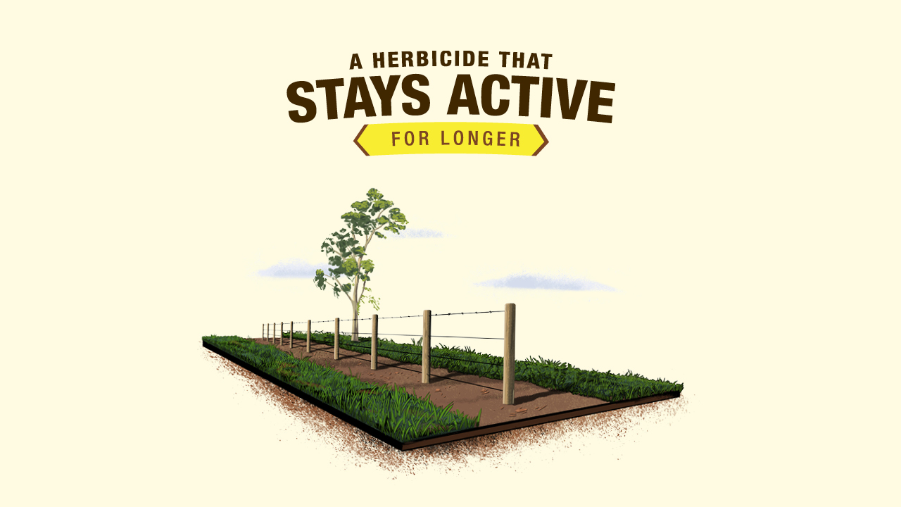 Alion 500 SC Herbicide | Bayer Crop Science