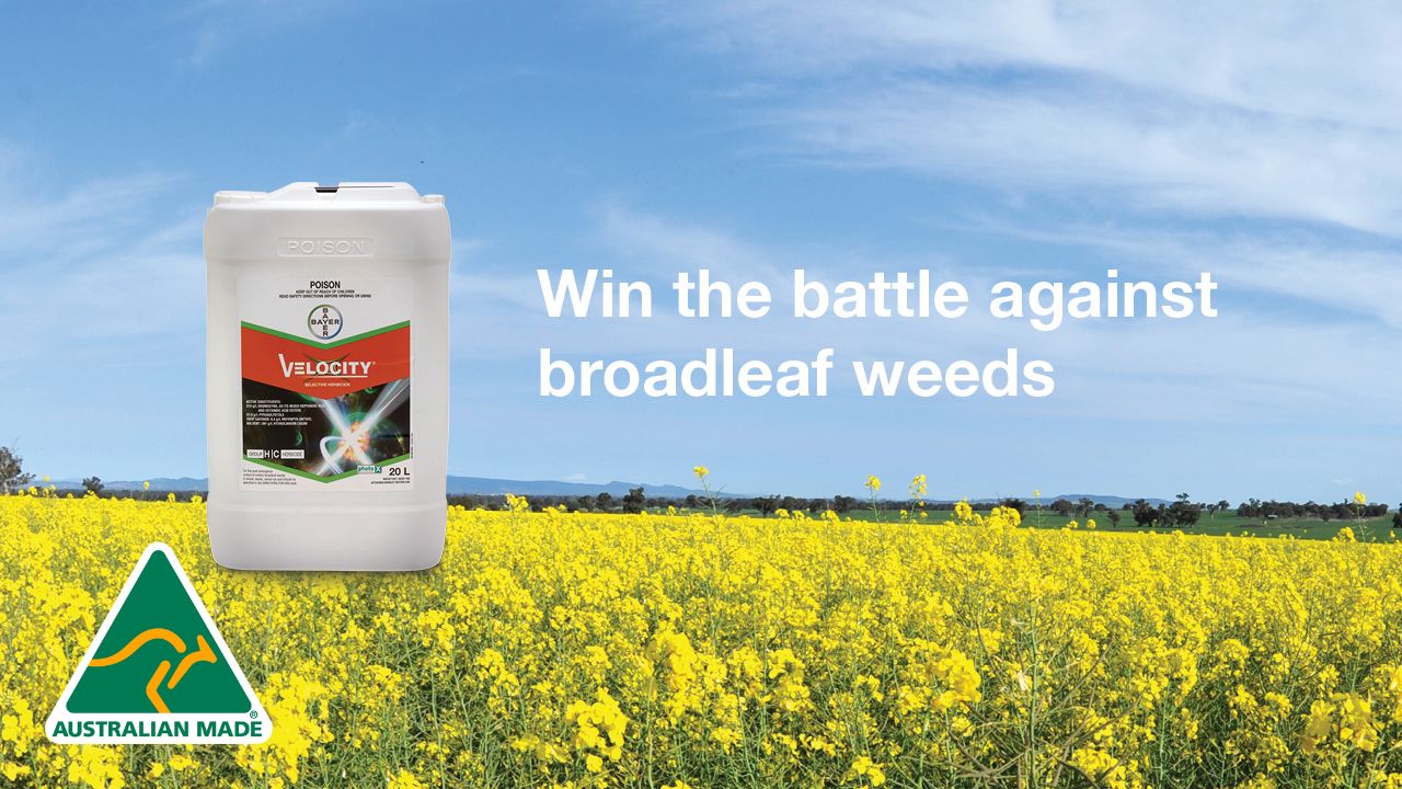 Velocity Selective Herbicide Label and SDS | Bayer Crop Science
