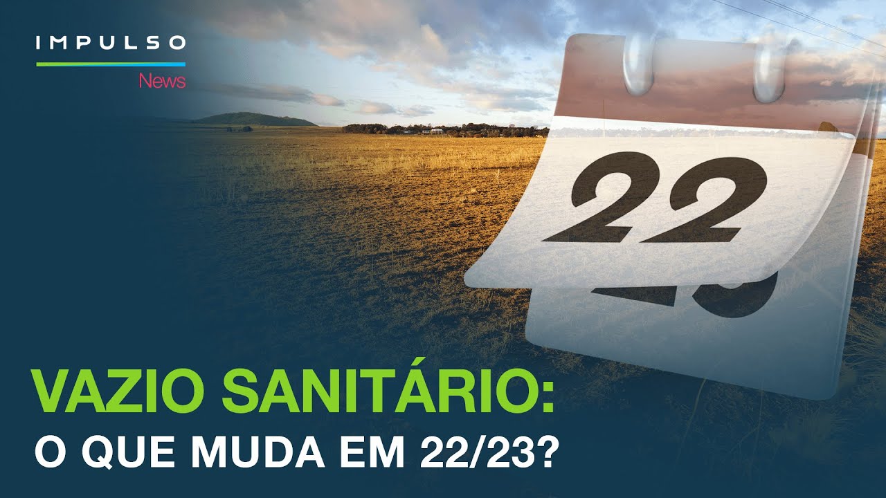 Vazio sanitário da soja vai de 13 de julho a 10 de outubro no Rio Grande do  Sul